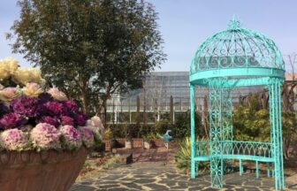 豊田市西山公園花