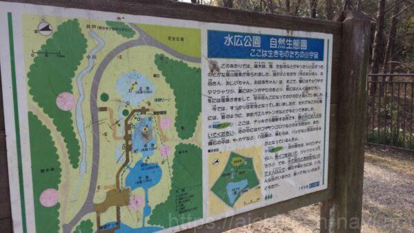 名古屋市緑区水広公園生態