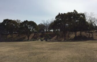 豊田市総合運動公園遊具