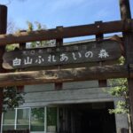 大口町 白山ふれあいの森のアスレチック情報!余野6号公園も近い!