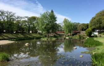 春日井市三ツ又公園池