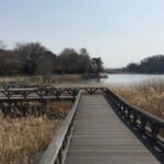 尾張旭市 維摩池の芝生広場、駐車場などの情報!水遊びもできる!?釣り人にもおすすめの公園