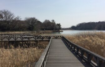 尾張旭市維摩池