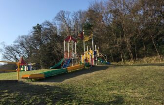 名東区牧野ヶ池緑地公園複合遊具