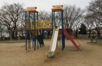 豊川市小坂井中央公園複合遊具