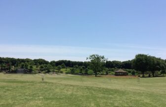 碧南市ヒーリングガーデン芝生広場