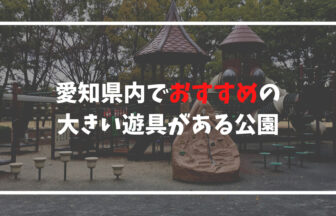愛知県内大きい遊具があるおすすめの公園