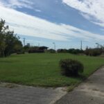 あま市二ツ寺親水公園芝生