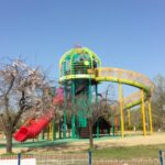 あいち健康の森公園大芝生広場大型複合遊具